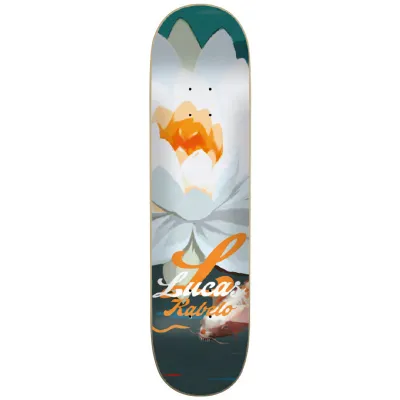 Flip Rabelo Flower Power