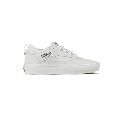 Vans Skate Safe Low De
