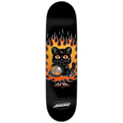 Santa Cruz Pro Asta Space Kitten Twin Pro Assorted