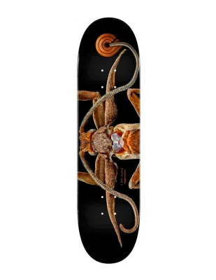Powell Peralta Biss Marion Moth
