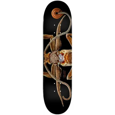 Powell Peralta Levon Biss Marion Flightless Moth Shape 243